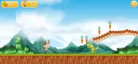 Bunny Run - Zoo Run Screen Shot 0