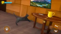 Cat Simulator 2021: Virtual Cat Life 2021 Screen Shot 0