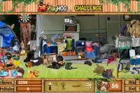 Challenge #179 Summer Camp New Hidden Object Games Screen Shot 1