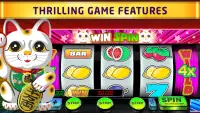 WinFun - New Free Slots Casino Screen Shot 3