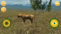 Real Cheetah Simulator Screen Shot 3
