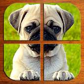 Puzzle Puppies (FREE)