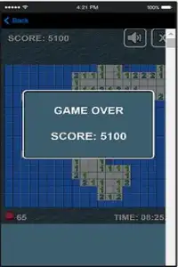 Battleship Minesweeper Fun App Screen Shot 5