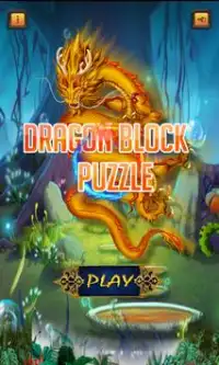 Dragon Block Puzzle Screen Shot 0