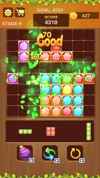 Block Puzzle Mania 2020 Screen Shot 6