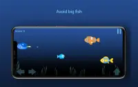 Get Big: Fishy Game Screen Shot 2