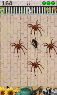 Hamamböceği Ölüm Ücretsiz Oyun Screen Shot 1