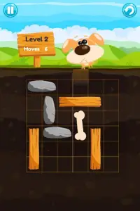 Big Bone - Unblock Puzzle Screen Shot 7