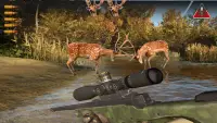 Fire Sniper Games : Fun Shooting Hunter Screen Shot 6