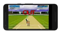 Cricket Mini Simulator Screen Shot 2