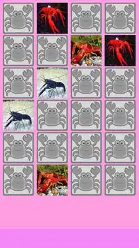 Crayfish Memory Game Screen Shot 2