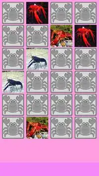 Raki Memory Game Screen Shot 2