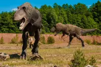 Puzzles Jurassic Park Tiere 🧩🦖🧩🦕️🧩 Screen Shot 0