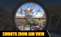 Deer Sniper Hunter: Wild Animal Hunting Game Screen Shot 2