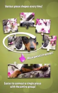 귀여운 강아지 퍼즐 - 개 게임 Screen Shot 4