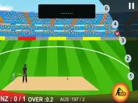 Cricket 2d Screen Shot 4