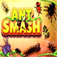 Ant Smash -2