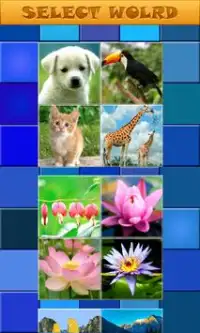 Fast Puzzle 11 Screen Shot 1