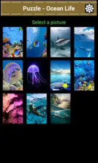 Tile Puzzle - Ocean Life Screen Shot 0