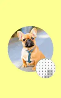 Цвет фотографии собаки по номеру Pixel Art Screen Shot 1