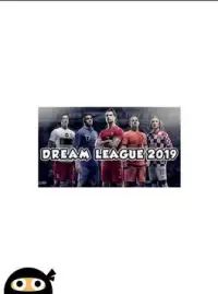 Dream League 2019 Screen Shot 18