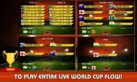 ファンシークリケットワールドカップ2015 Screen Shot 0