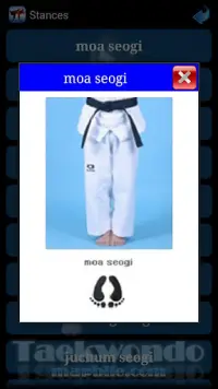 Taekwondo ITF Screen Shot 5