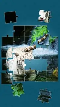 Tiger Puzzle-Spiele Screen Shot 3