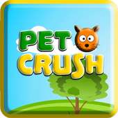 Pet Crush 2016