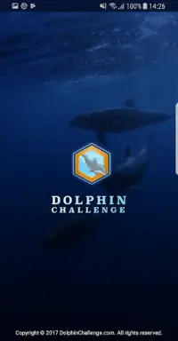 Dolphin Challenge Screen Shot 0