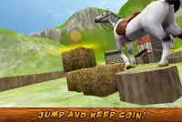 My Horse Simulator Training 3D Screen Shot 2