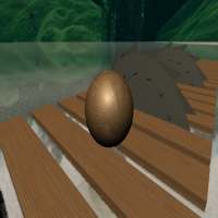 Balance 3d