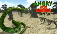 Angry Anaconda 2016 Screen Shot 0