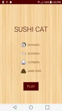 Sushi Cat Screen Shot 4
