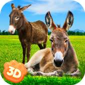 Donkey Simulator - Little Horse Wildlife Simulator