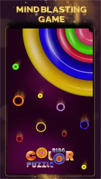 Ring Color Puzzle Screen Shot 6