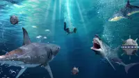 jogo tubarão faminto Screen Shot 4