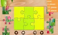 Flower jigsaw puzzles for free Screen Shot 2