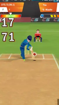 Cricket Star Pro Screen Shot 2