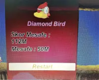 Diamond Bird Screen Shot 0