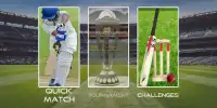 IPL 2020 Game - World Cup T20 Cricket Game Super Screen Shot 3