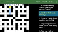 Cryptic Crossword Lite Screen Shot 5