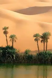 砂漠のパズル Screen Shot 2