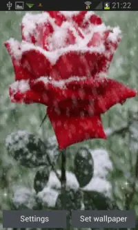 Icy Red Rose Live Wallpaper Screen Shot 0