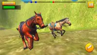 Cowboy Horse Racing Simulator - World Championship Screen Shot 2