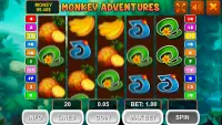 Monkey Adventures Slot Screen Shot 2