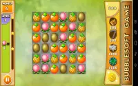 Fruit Crush Screen Shot 13