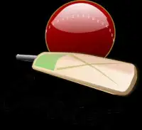 Play Cricket Screen Shot 6