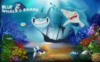 नीली व्हेल शार्क खेलों Screen Shot 4
