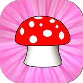 Cute Mushroom Grow Up Quickly